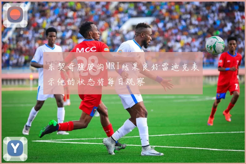 东契奇腹股沟MRI结果良好雷迪克表示他的状态将每日观察