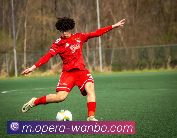 万博体育平台生态图